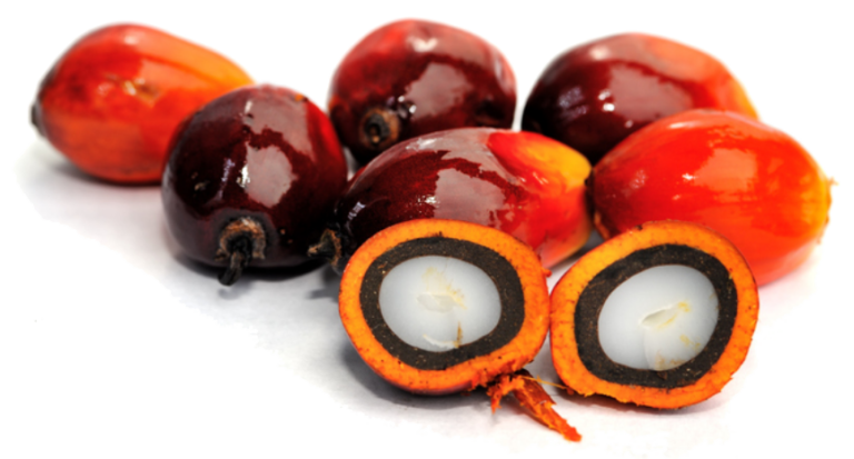 ISPO – INDONESIA IS PALM OIL - Indonesia Palm Oil Facts